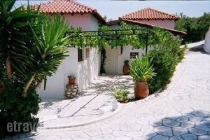 Villa Elpiniki_lowest prices_in_Villa_Sporades Islands_Skiathos_Troulos