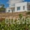 Anatoli Villas_travel_packages_in_Dodekanessos Islands_Leros_Laki