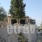 Oliviero Villas_best deals_Villa_Ionian Islands_Lefkada_Lefkada Rest Areas