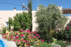 The Old Kafenion B&B_lowest prices_in_Hotel_Crete_Heraklion_Tymbaki