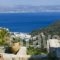 Evgoro Luxury Suites_best deals_Hotel_Crete_Rethymnon_Plakias