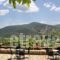 Menalia Villas & Suites_holidays_in_Villa_Peloponesse_Arcadia_Levidi