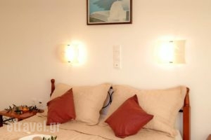 Aggelos Studios_holidays_in_Hotel_Cyclades Islands_Naxos_Naxos chora