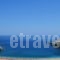 Anastasia Villas_lowest prices_in_Villa_Cyclades Islands_Andros_Andros City