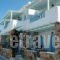 Studios Amfitriti_accommodation_in_Apartment_Cyclades Islands_Serifos_Livadi