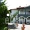 Olympus Hotel Villa Drosos_lowest prices_in_Villa_Macedonia_Pieria_Litochoro