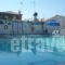 Apartments Zafiria_travel_packages_in_Aegean Islands_Samos_Samosst Areas