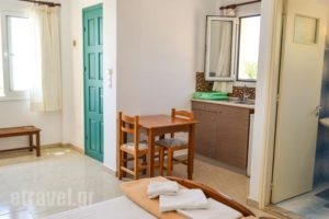 Albatros Studios & Apartments_travel_packages_in_Dodekanessos Islands_Karpathos_Karpathosora