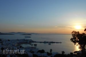 La Veranda of Mykonos Traditional Guesthouse_lowest prices_in_Hotel_Cyclades Islands_Mykonos_Mykonos Chora