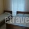 Adamidis Rooms_travel_packages_in_Thessaly_Larisa_Larisa City