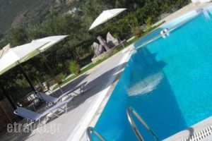 Fotini Studios_holidays_in_Hotel_Ionian Islands_Lefkada_Vasiliki