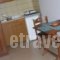 Fotini Studios_best deals_Hotel_Ionian Islands_Lefkada_Vasiliki