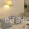 The Park Hotel Piraeus_best prices_in_Hotel_Central Greece_Attica_Piraeus