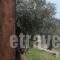 Melolia Farm_best prices_in_Hotel_Central Greece_Viotia_Livadia