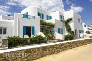 Cyclades Studios_accommodation_in_Hotel_Cyclades Islands_Mykonos_Mykonos ora