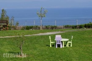 Villa Orama_lowest prices_in_Villa_Macedonia_Halkidiki_Nea Moudania