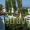 Panorama Paros_best deals_Hotel_Cyclades Islands_Paros_Paros Chora