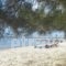 Studio Lazaridi_best deals_Hotel_Aegean Islands_Thassos_Thassos Chora