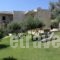 Asion Lithos_best deals_Hotel_Crete_Heraklion_Tymbaki