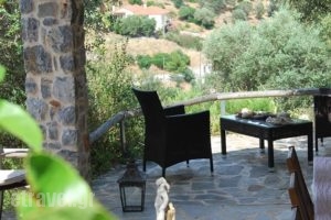 Labetia Apartments_best prices_in_Apartment_Central Greece_Evia_Limni