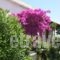 Holiday Home Aghia Triada_holidays_in_Hotel_Thessaly_Magnesia_Koropi