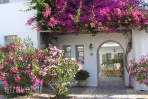 Despina's Rooms And Apartments_holidays_in_Room_Cyclades Islands_Paros_Naousa