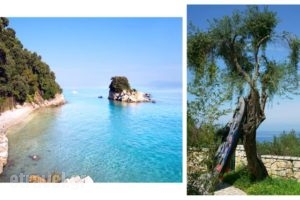 Thalia Estate_holidays_in_Hotel_Ionian Islands_Corfu_Corfu Rest Areas