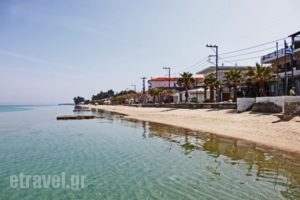 Myrto_lowest prices_in_Hotel_Macedonia_Halkidiki_Pefkochori