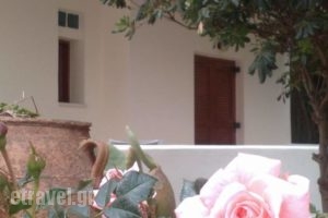 Spanou Apartments_accommodation_in_Apartment_Crete_Chania_Galatas