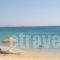 Glaronissi 1_best deals_Hotel_Cyclades Islands_Naxos_Naxos chora