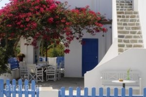 Casa Flora Antiparos_accommodation_in_Hotel_Cyclades Islands_Antiparos_Antiparos Chora