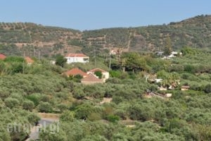 Eirini Villa_travel_packages_in_Crete_Chania_Kolympari