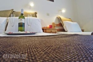 Studios Filippina_holidays_in_Hotel_Aegean Islands_Thasos_Potos