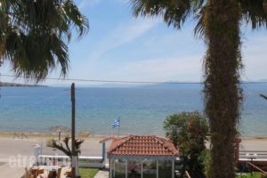 Aggeliko Studios_holidays_in_Hotel_Central Greece_Evia_Edipsos