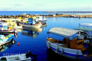 Alexandros Beach House_accommodation_in_Hotel_Cyclades Islands_Sandorini_Sandorini Chora