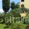 Villa Efterpi hollidays