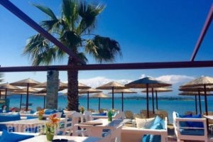 Vergos Hotel_holidays_in_Hotel_Macedonia_Halkidiki_Chalkidiki Area