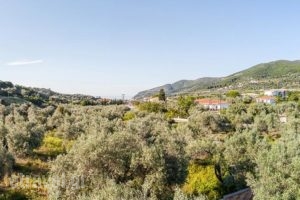 Pefkos Studios and Apartments_lowest prices_in_Apartment_Sporades Islands_Skopelos_Skopelos Chora