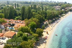 Enalion_holidays_in_Hotel_Thessaly_Magnesia_Kala Nera