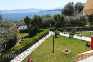 Makris Studios_travel_packages_in_Central Greece_Fthiotida_Kamena Vourla