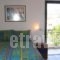 Gorgona_best deals_Hotel_Thessaly_Magnesia_Pteleos