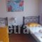 Alice House_best deals_Hotel_Piraeus Islands - Trizonia_Spetses_Spetses Chora