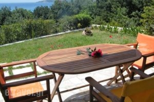 Agnanti Studios_holidays_in_Hotel_Ionian Islands_Kefalonia_Vlachata