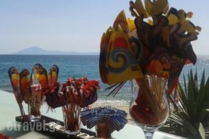 Beach Hotel Kapahi_best deals_Hotel_Aegean Islands_Thasos_Thasos Chora