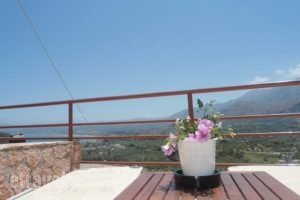 Aloe Villa_best deals_Villa_Crete_Chania_Sfakia