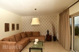 Villa Merika_lowest prices_in_Villa_Peloponesse_Arcadia_Xiropigado