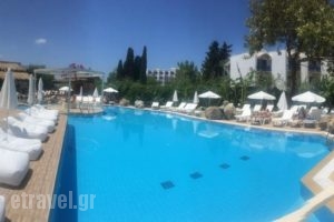 Palm Beach Hotel - Adults Only_holidays_in_Hotel_Dodekanessos Islands_Kos_Kos Chora