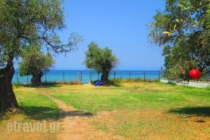 Paradiso Apartment_best deals_Apartment_Aegean Islands_Thasos_Thasos Chora