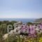 Studios Anemolithi_accommodation_in_Hotel_Cyclades Islands_Amorgos_Amorgos Chora