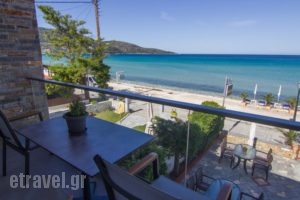 Seabird Apartments_accommodation_in_Apartment_Aegean Islands_Thasos_Chrysi Ammoudia